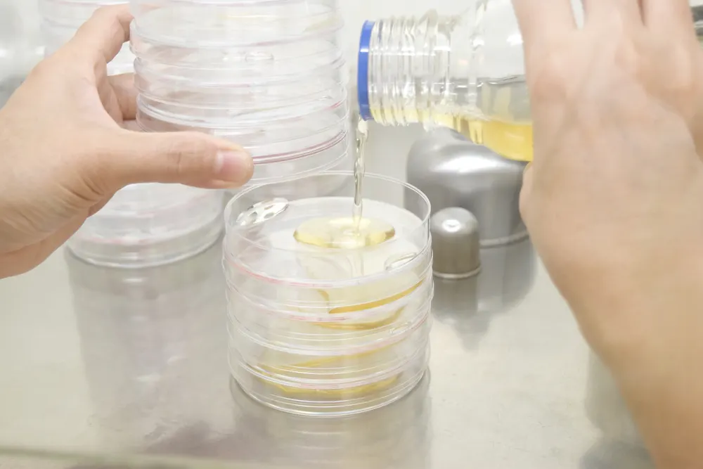 Understanding Sterile Work Flows