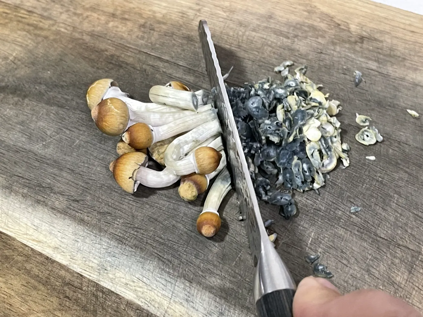 Chopping Magic Mushrooms