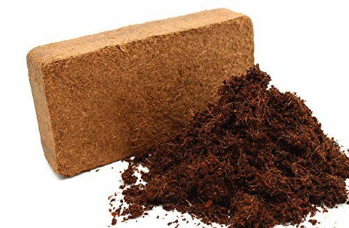 Coco coir, 650 g brick