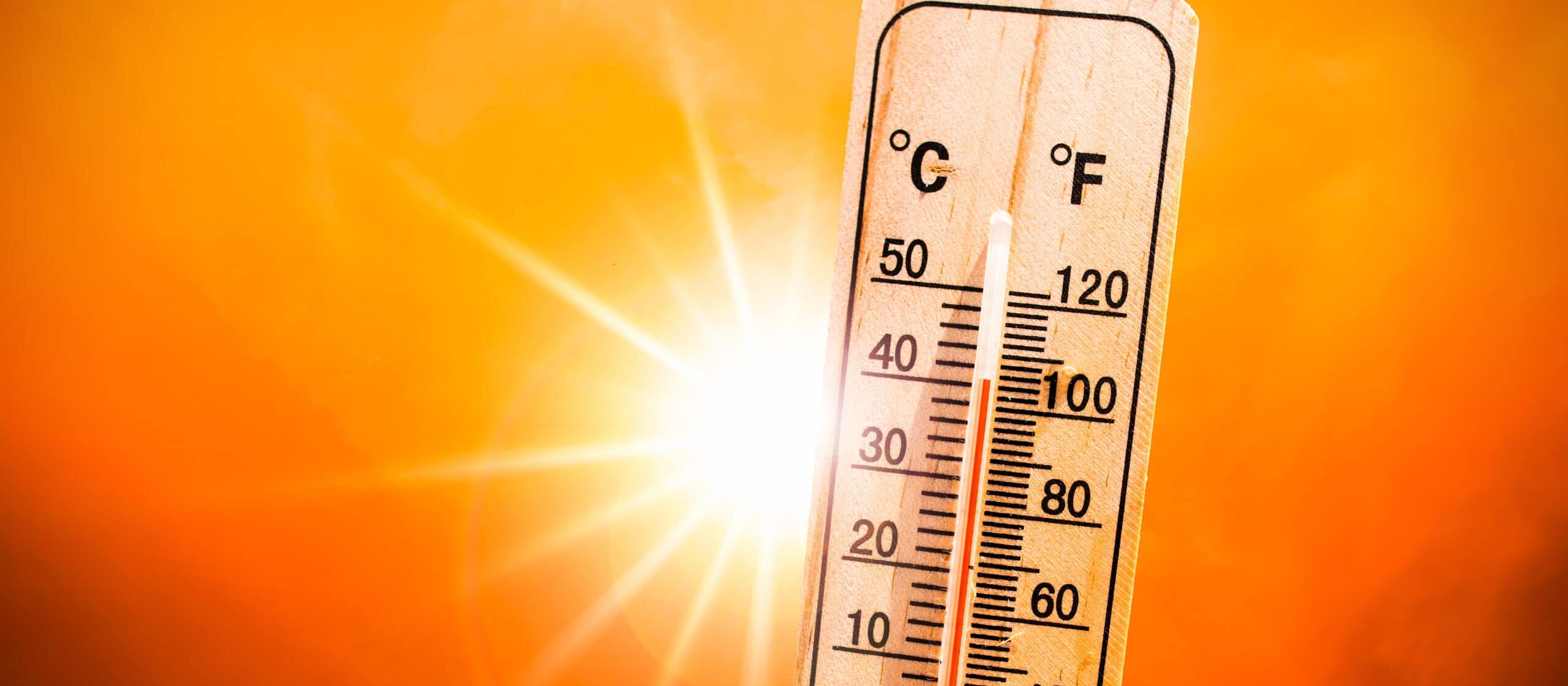 Temperatures for Growing Mushrooms
