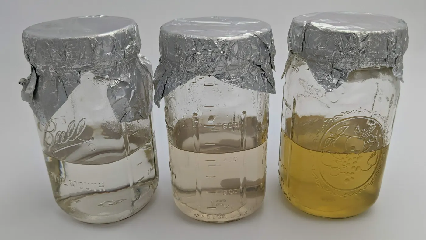 Liquid Culture