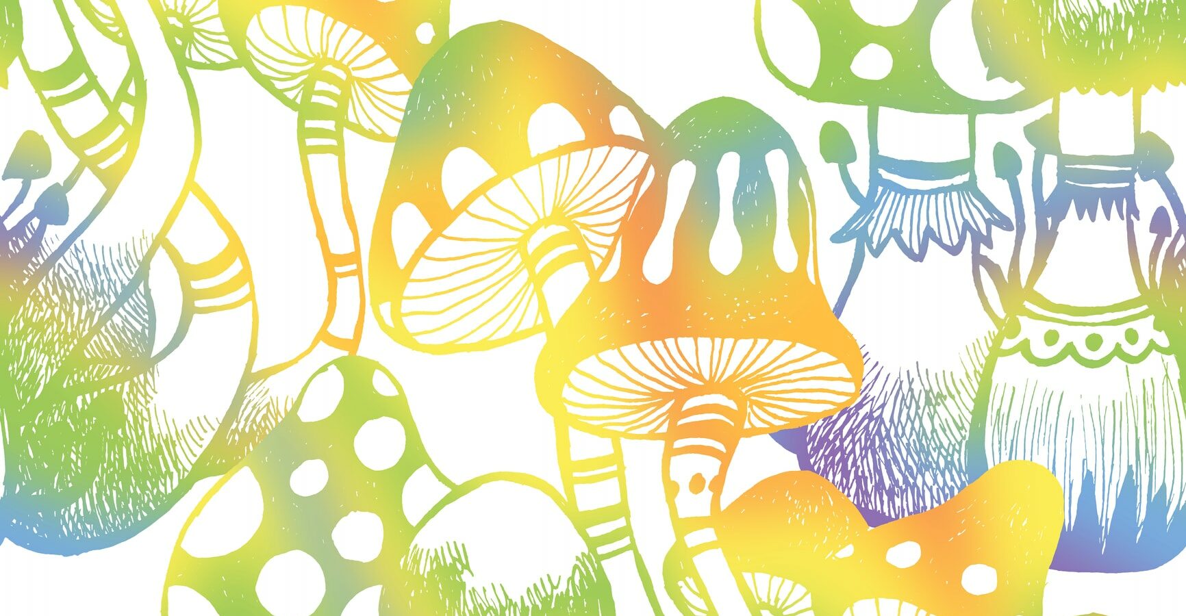 Do we use the right words when talking about magic mushrooms?