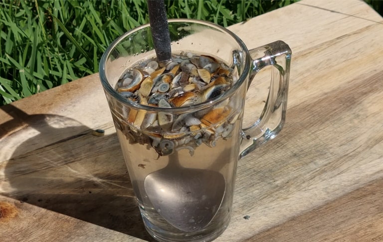 How to Make Magic Mushroom Tea